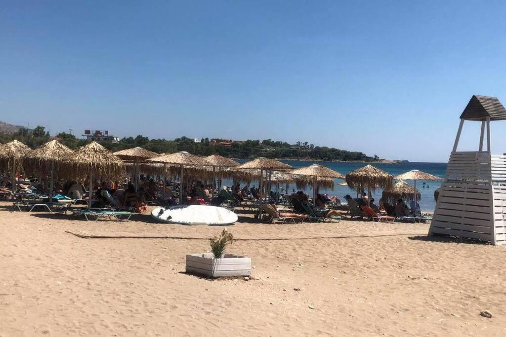 Villa Marilena Lagonisi Kalivia Thorikou エクステリア 写真